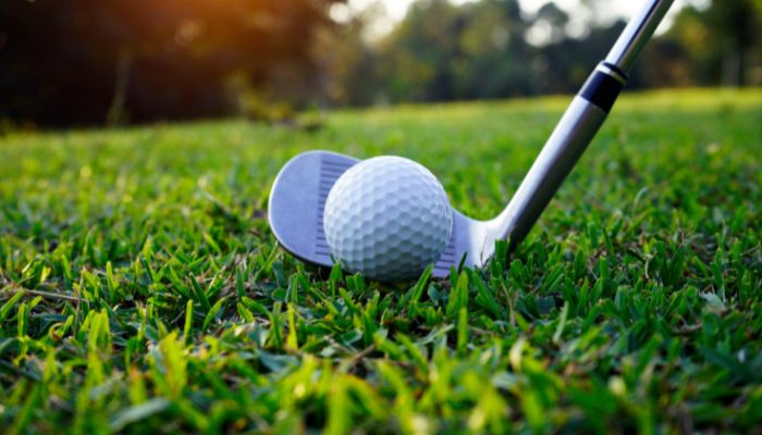 Swinging for Unity: Kenyan Diaspora Golf Tournament Tees Off in Washington, D.C.