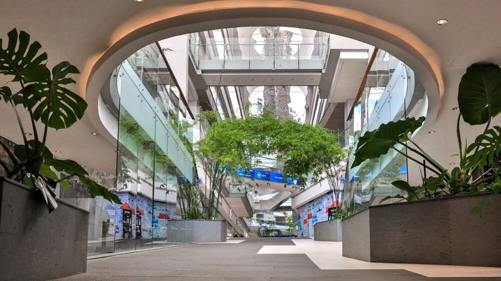 Using Markets, Museums and Public Spaces to Understand a City