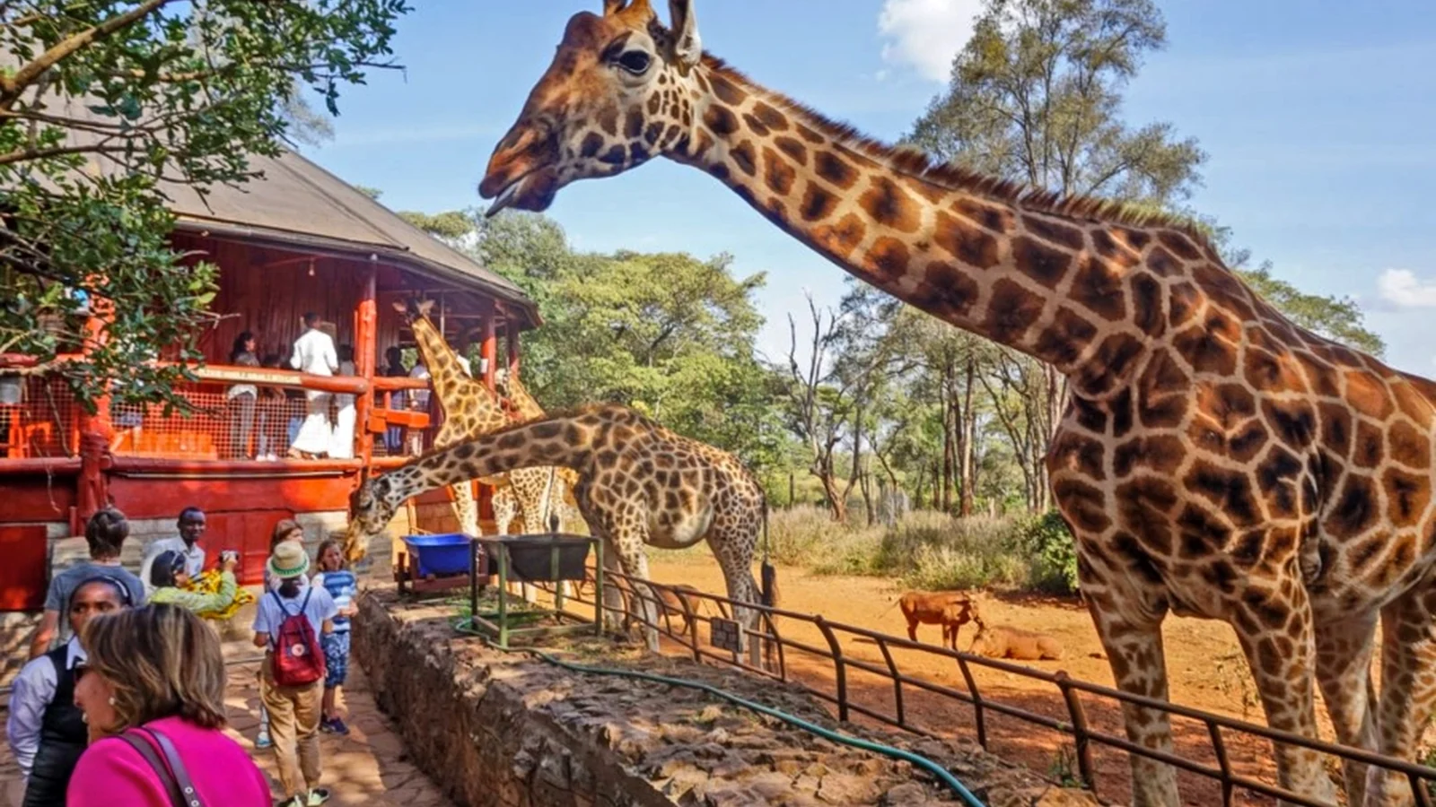 Travel as Education: Helping Children Notice History, Language and Place