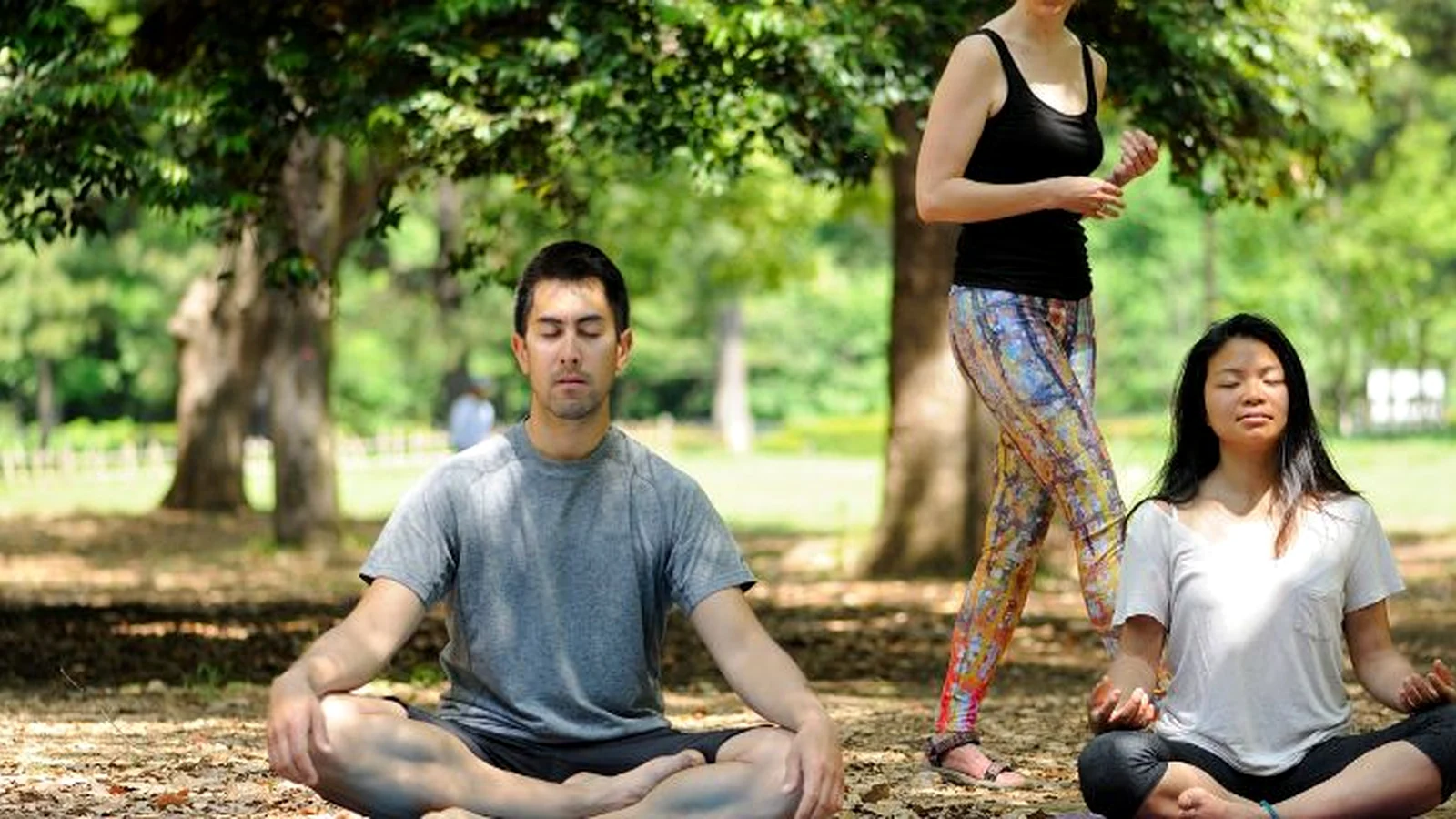 Charity Walks and Runs: Turning Participation Into Transparent Impact