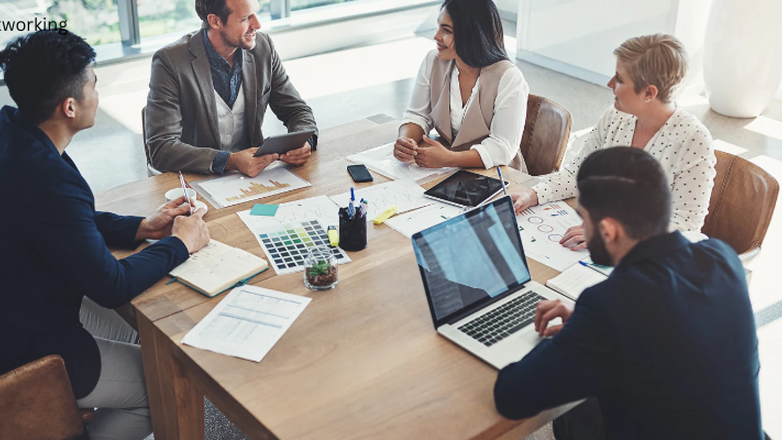 Networking for Diaspora Professionals in the United States